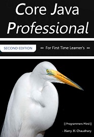 Core Java Professional: For First Time Learner’s, 2nd Edition