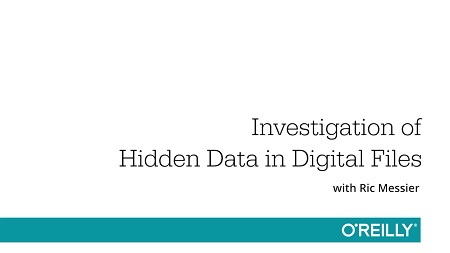 Investigation of Hidden Data in Digital Files