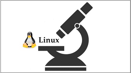 Build a free and complete Linux learning environment