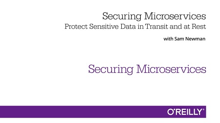 Securing Microservices: Protect Sensitive Data in Transit and at Rest