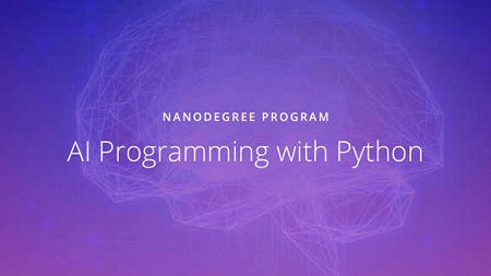 AI Programming with Python (Nanodegree Program)