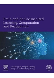 Brain and Nature-Inspired Learning, Computation and Recognition