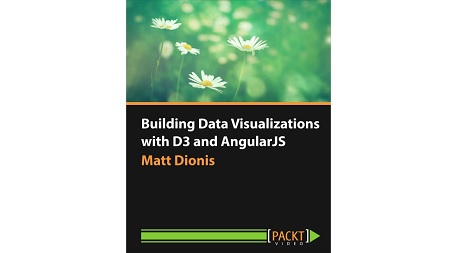 Building Data Visualizations with D3 and AngularJS