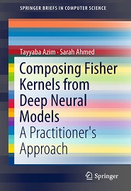 Composing Fisher Kernels from Deep Neural Models: A Practitioner’s Approach