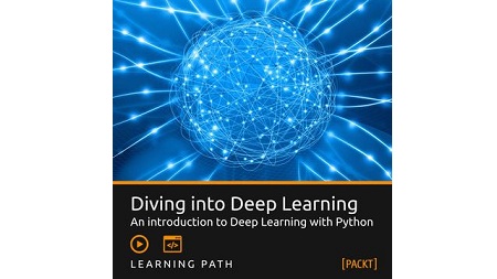 Diving into Deep Learning