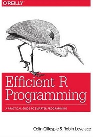 Efficient R Programming: A Practical Guide to Smarter Programming