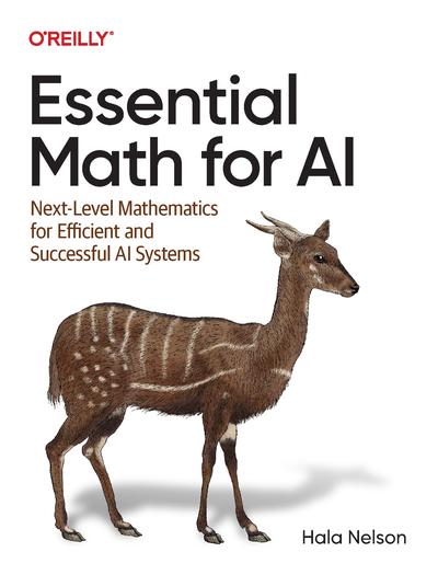 Essential Math for AI: Next-Level Mathematics for Efficient and Successful AI Systems