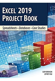 Excel 2019 Project Book: Spreadsheets, Databases, Case Studies