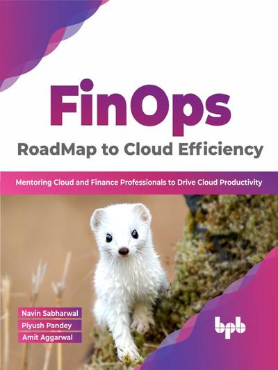 FinOps : RoadMap to Cloud Efficiency: Mentoring Cloud and Finance Professionals to Drive Cloud Productivity