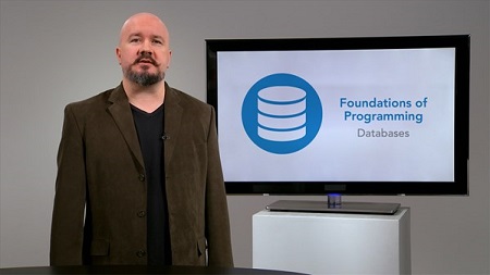Foundations of Programming: Databases