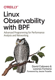 Linux Observability with BPF: Advanced Programming for Performance Analysis and Networking