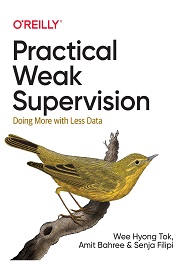 Practical Weak Supervision: Doing More with Less Data